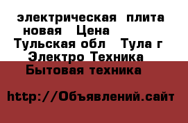 электрическая  плита новая › Цена ­ 4 400 - Тульская обл., Тула г. Электро-Техника » Бытовая техника   